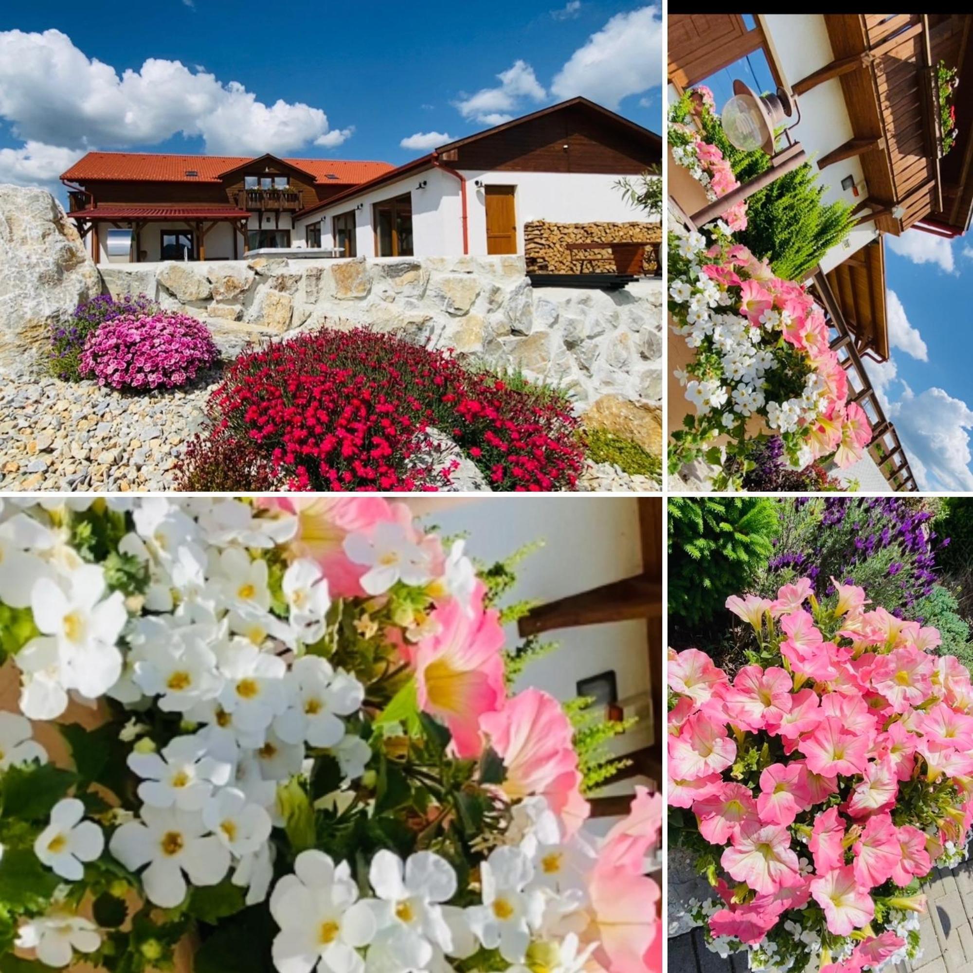 Gold Horse Vendeghaz Hotel Szilvásvárad Екстериор снимка