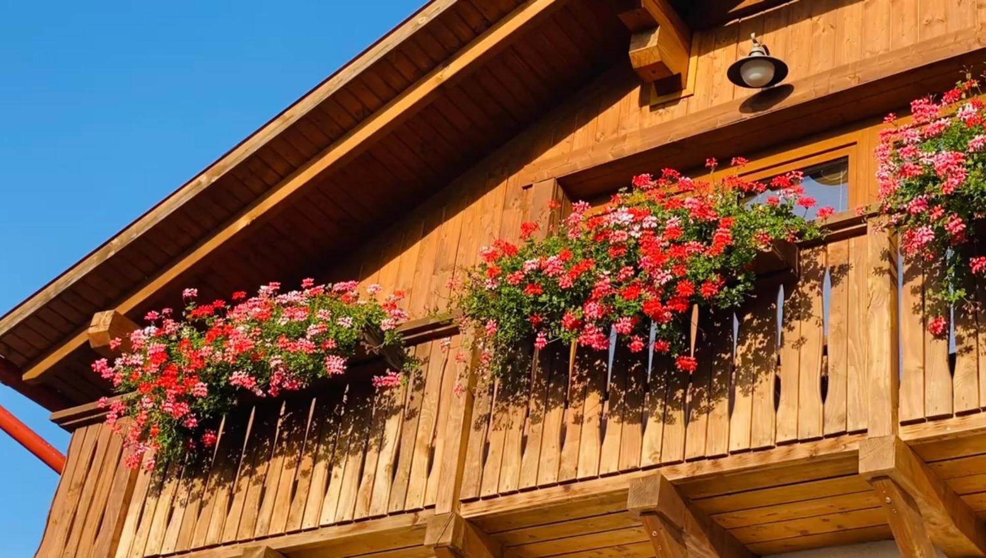 Gold Horse Vendeghaz Hotel Szilvásvárad Екстериор снимка
