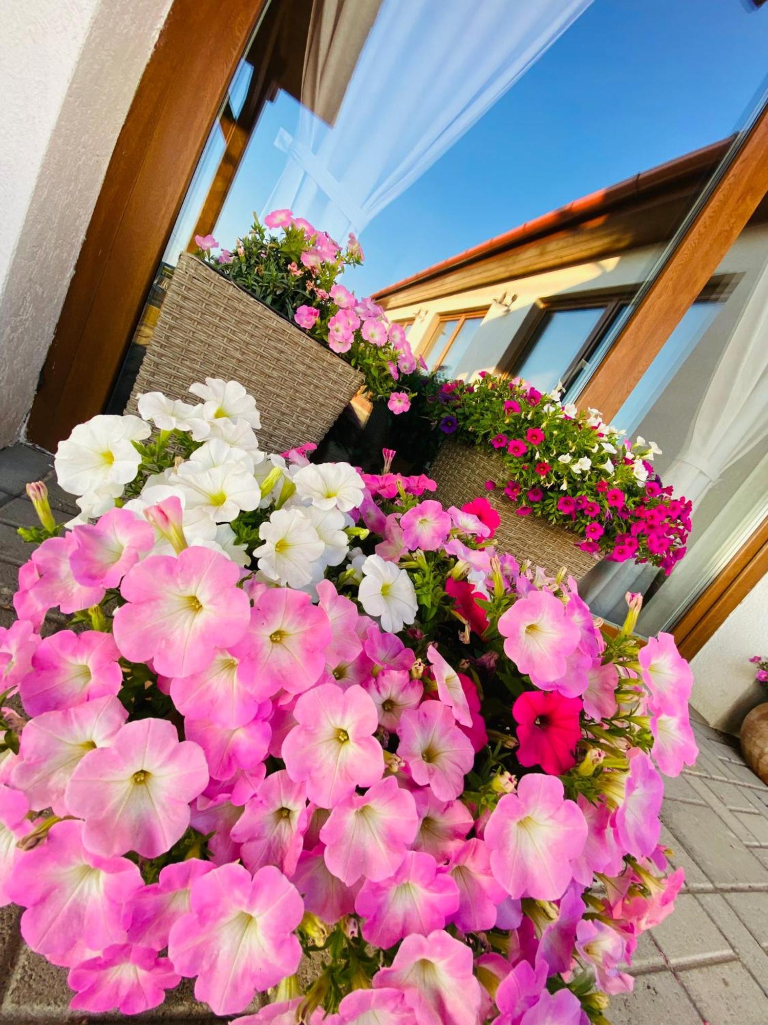 Gold Horse Vendeghaz Hotel Szilvásvárad Екстериор снимка