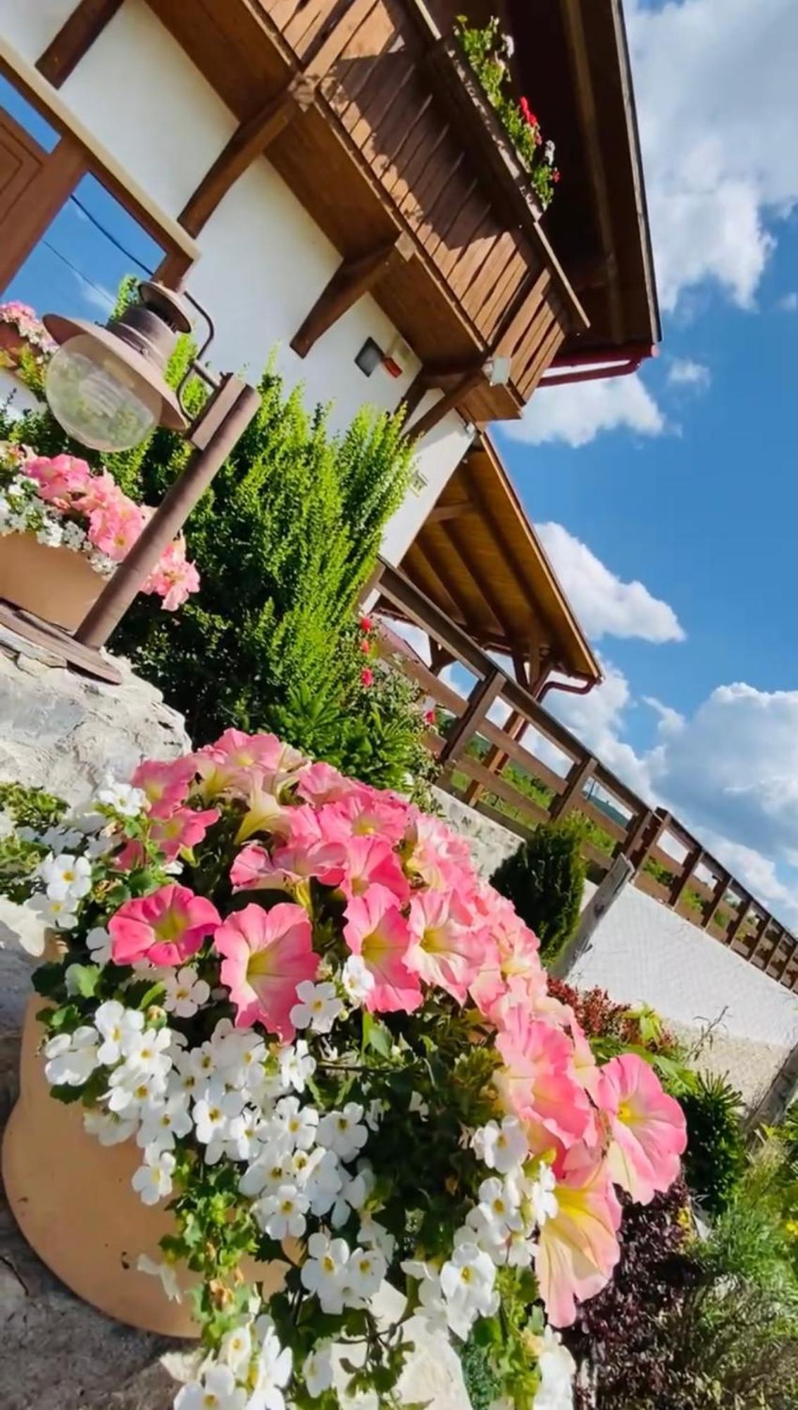 Gold Horse Vendeghaz Hotel Szilvásvárad Екстериор снимка